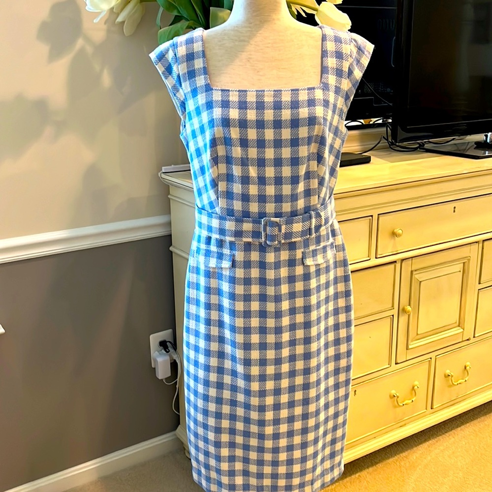 Ann Taylor belted, midi length dress.
